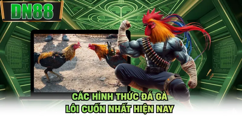 Các hình thức đá gà lôi cuốn nhất hiện nay