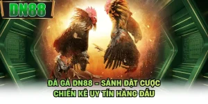 Đá Gà DN88 - Sảnh Đặt Cược Chiến Kê Uy Tín Hàng Đầu