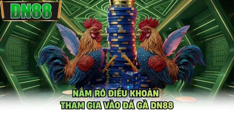 Nắm rõ điều khoản tham gia vào đá gà DN88