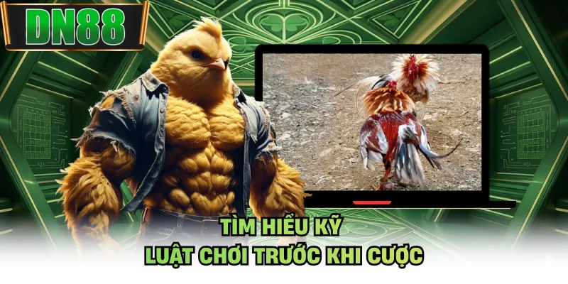 Tìm hiểu kỹ luật chơi trước khi cược