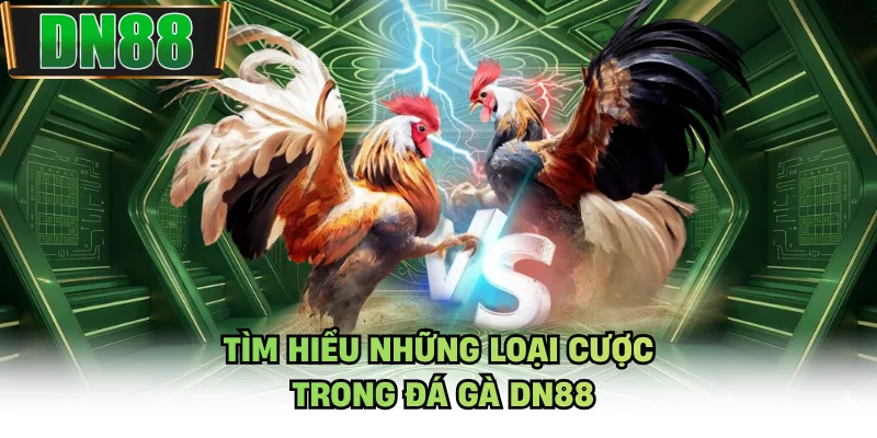 Tìm hiểu những loại cược trong đá gà DN88